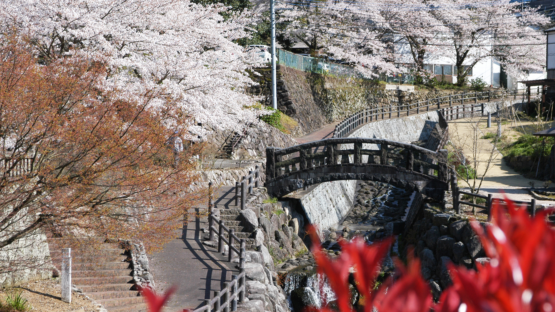 大川内山の桜満開 - 秘窯の里伊万里大川内山へ日本の伝統工芸品伊万里
